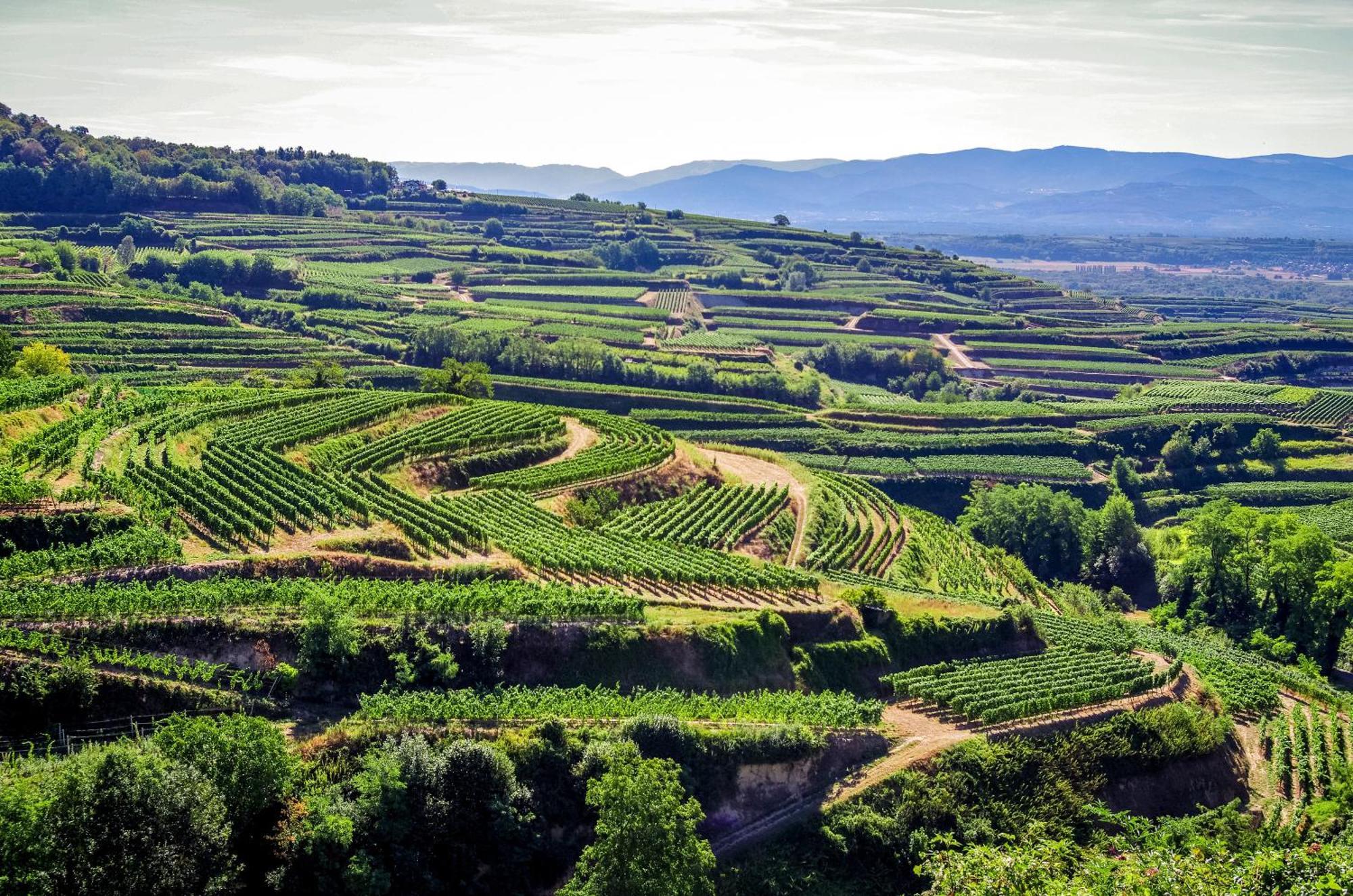 Dreilaendereck Am Kaiserstuhl Wasenweiler Exteriör bild